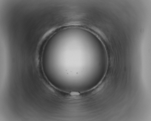 X0000113581406200909251146