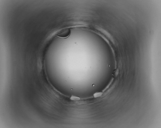 X0000113581407200909251146