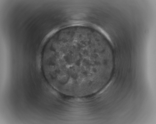 X0000113581411200909251146