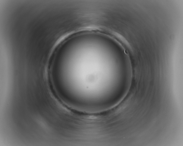 X0000113581412200909251146