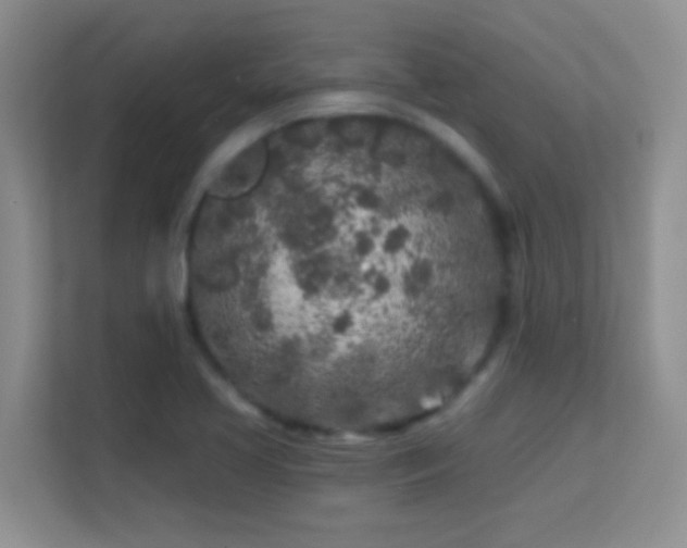 X0000113581413200909251146