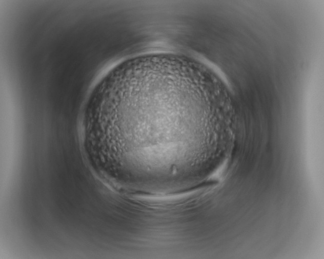 X0000113581415200909251146