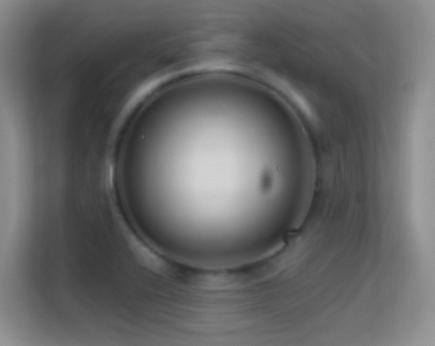 X0000113581416200909251146