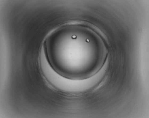 X0000113581417200909251146