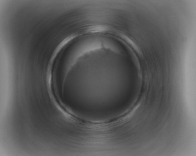 X0000113581418200909251146