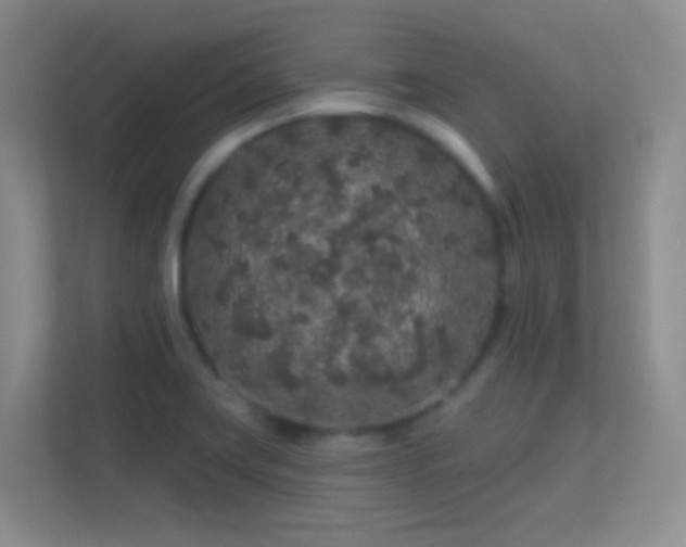 X0000113581419200909251146