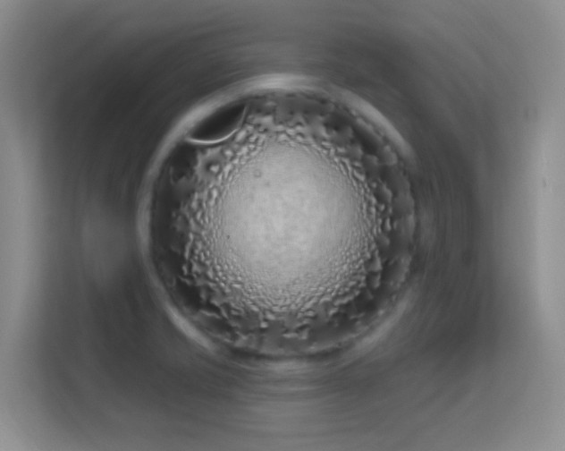 X0000113581421200909251146