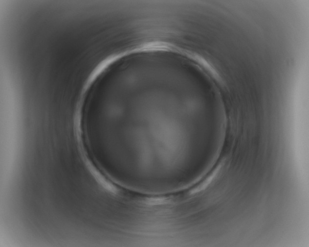 X0000113581422200909251146