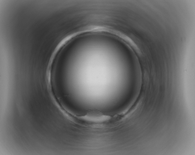 X0000113581424200909251146