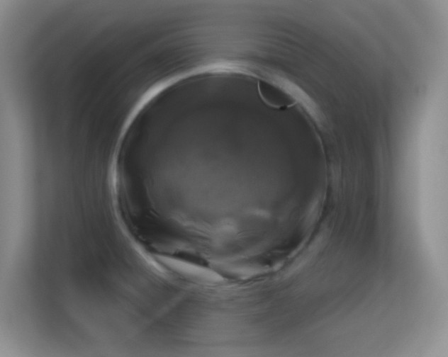 X0000113581428200909251146