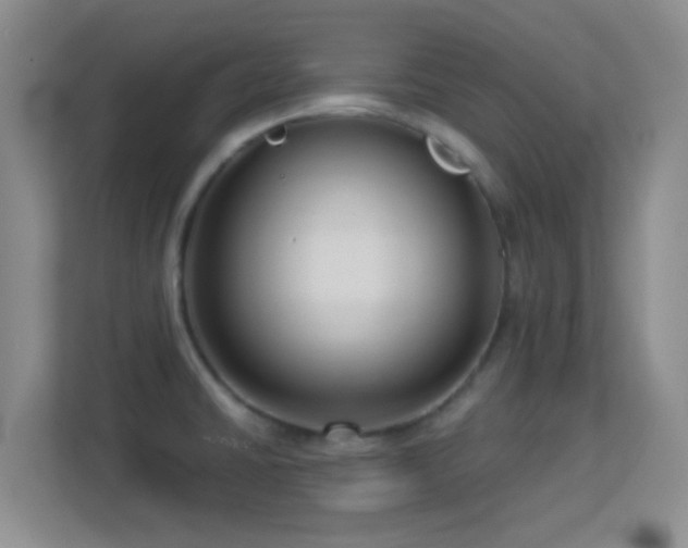 X0000113581430200909251146