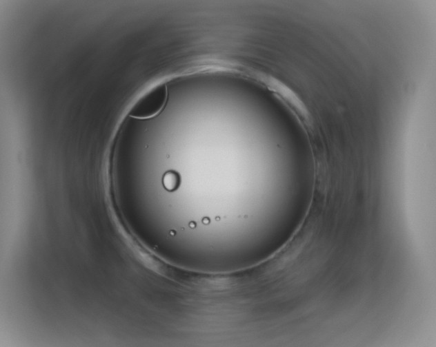 X0000113581431200909251146