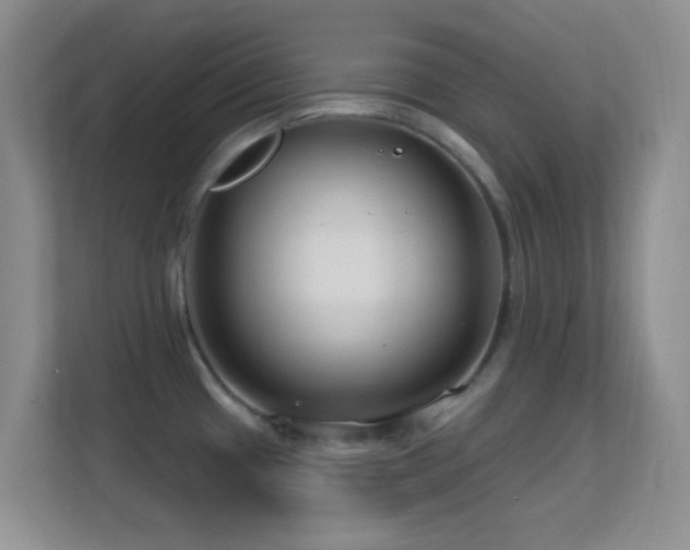 X0000113581433200909251146