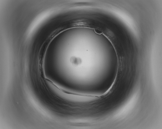 X0000113581438200909251146