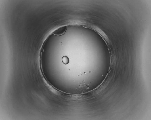 X0000113581439200909251146