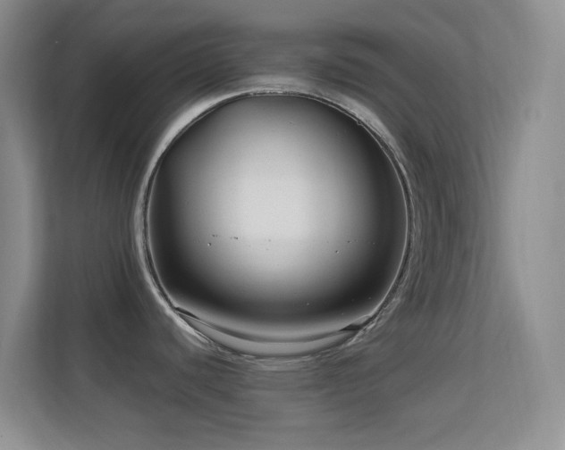 X0000113581440200909251146