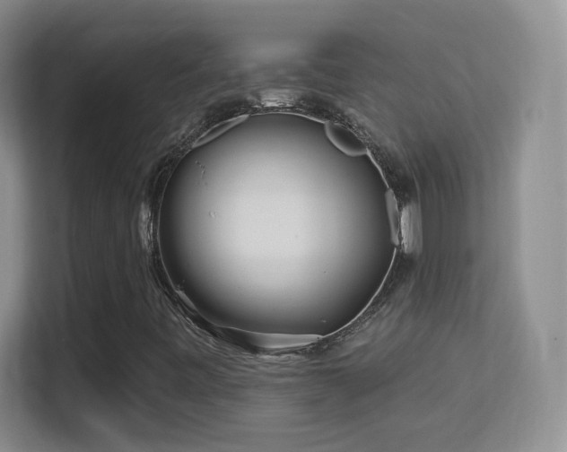 X0000113581443200909251145