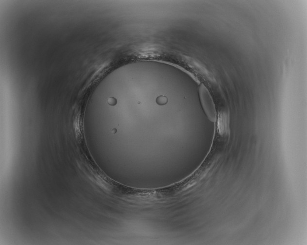 X0000113581444200909251145