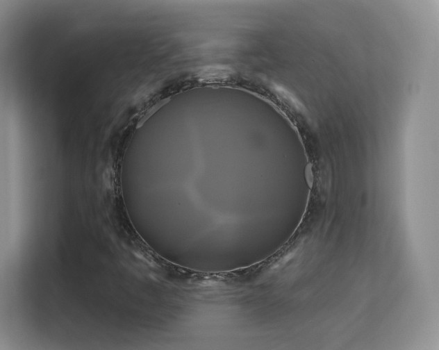 X0000113581445200909251145