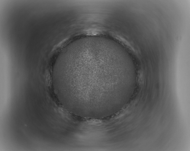 X0000113581446200909251145