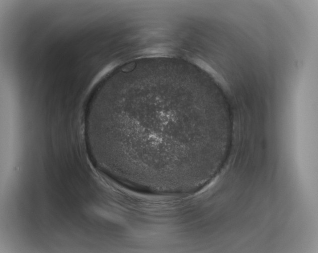 X0000113581450200909251145