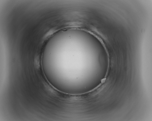 X0000113581451200909251145