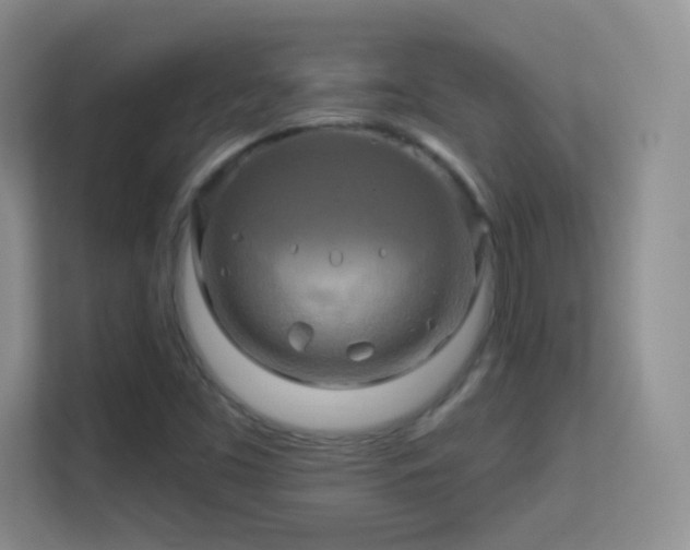 X0000113581453200909251145