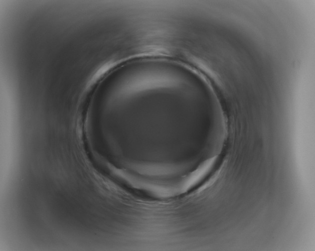 X0000113581455200909251145