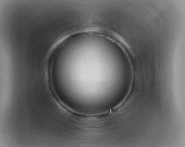 X0000113581456200909251145