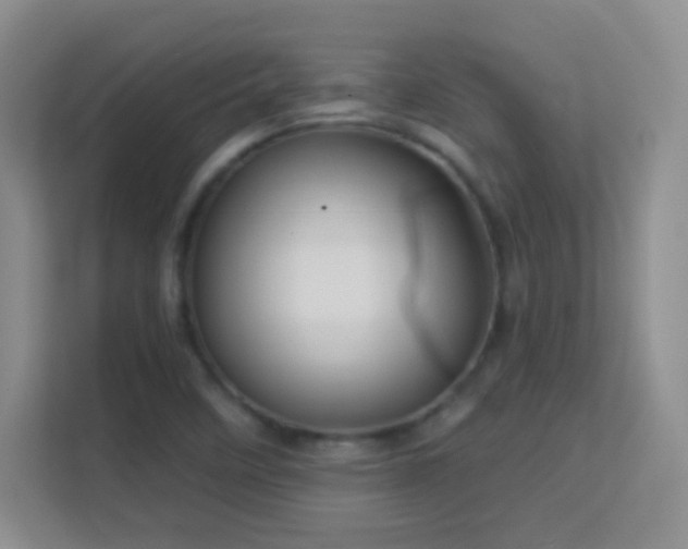 X0000113581458200909251145