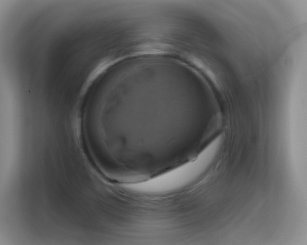 X0000113581459200909251145