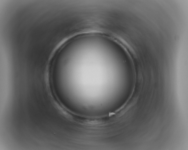 X0000113581460200909251145