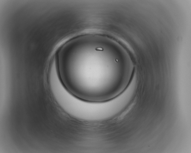 X0000113581461200909251145