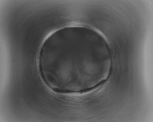 X0000113581463200909251145