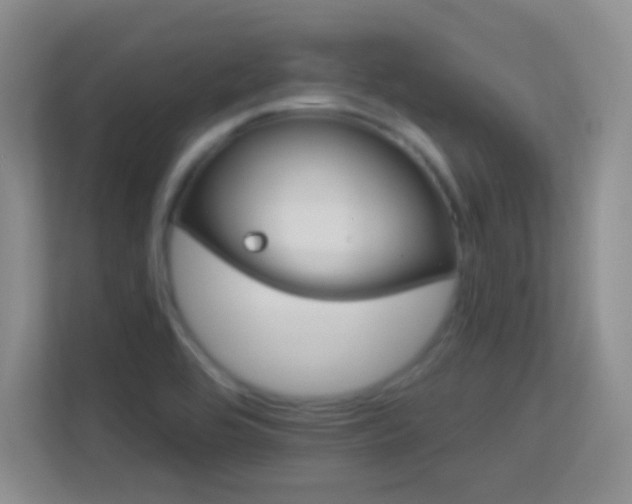 X0000113581464200909251145