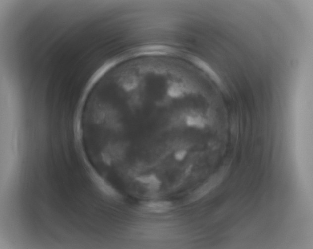 X0000113581466200909251145