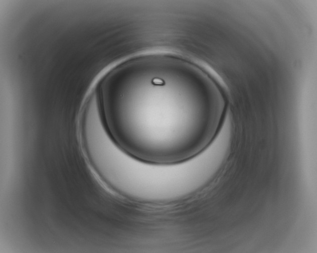 X0000113581468200909251145