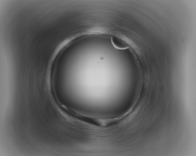 X0000113581469200909251145