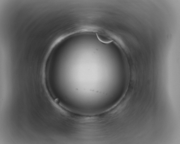 X0000113581471200909251145