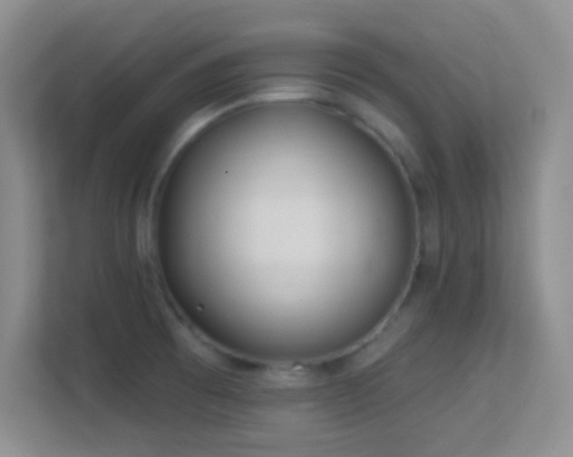 X0000113581473200909251145