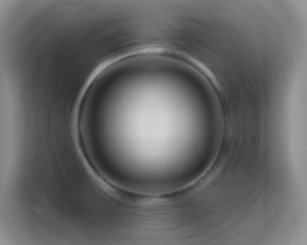 X0000113581475200909251145