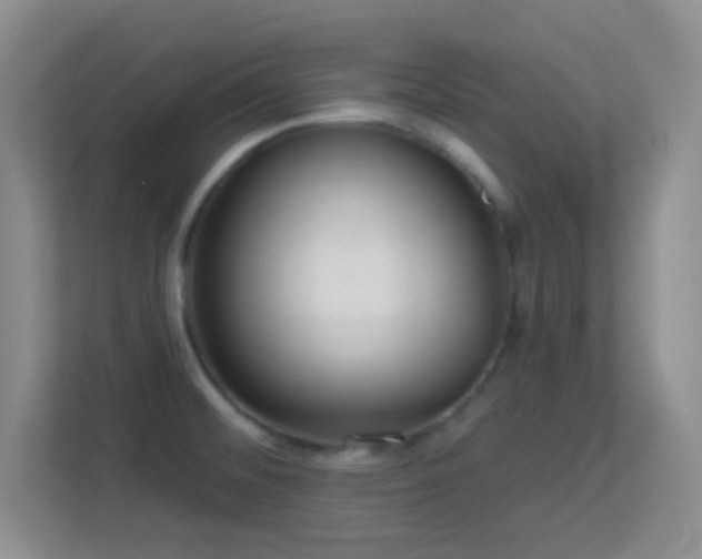 X0000113581476200909251145