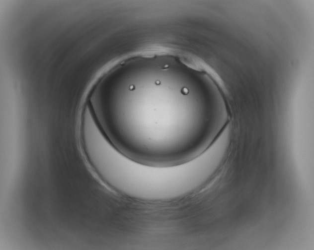 X0000113581477200909251145