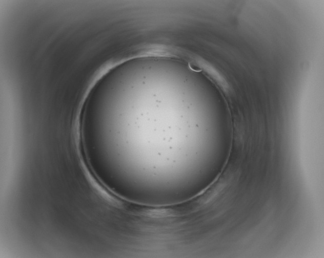 X0000113581479200909251145