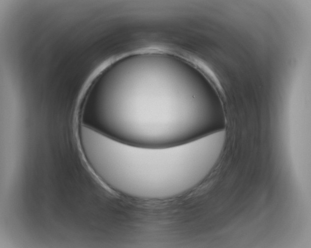 X0000113581480200909251145