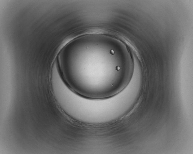 X0000113581481200909251145