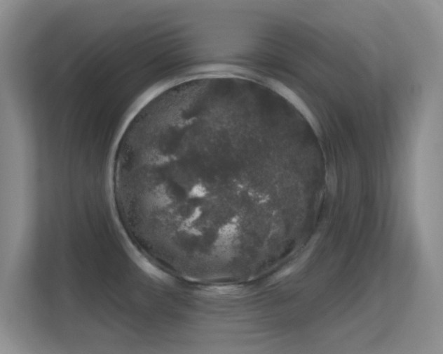 X0000113581482200909251145