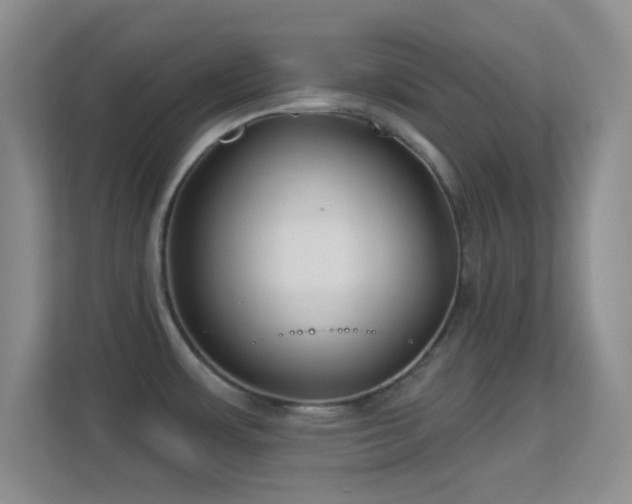 X0000113581483200909251145