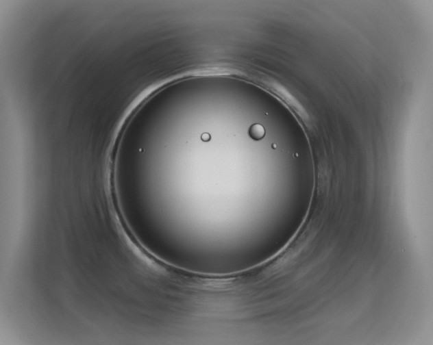 X0000113581484200909251145