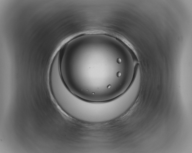 X0000113581485200909251145